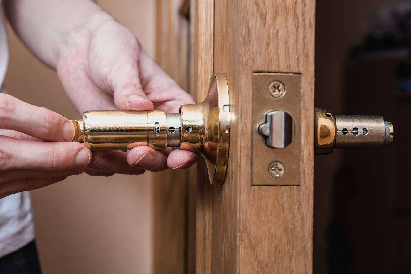 Fingerprint smart lock for apartment security door